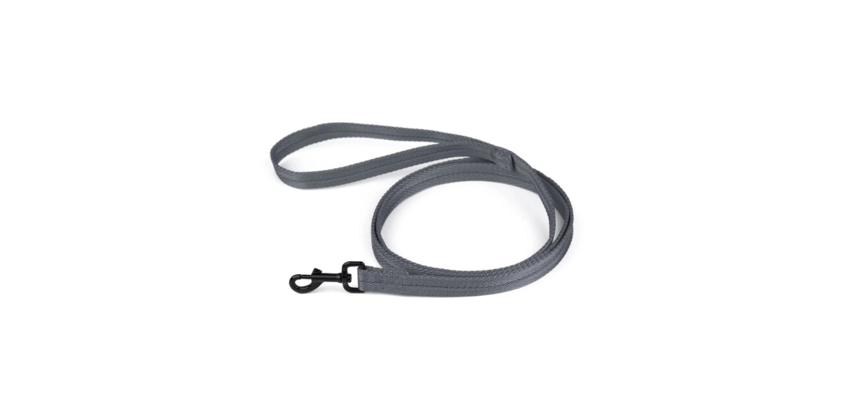 Nylon Gris 4ft leash