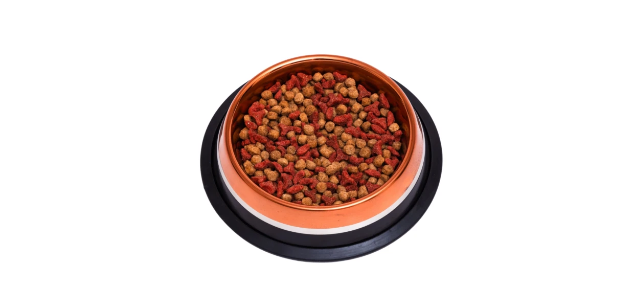 comedero-plato-de-acero-para-mascotas-alimento