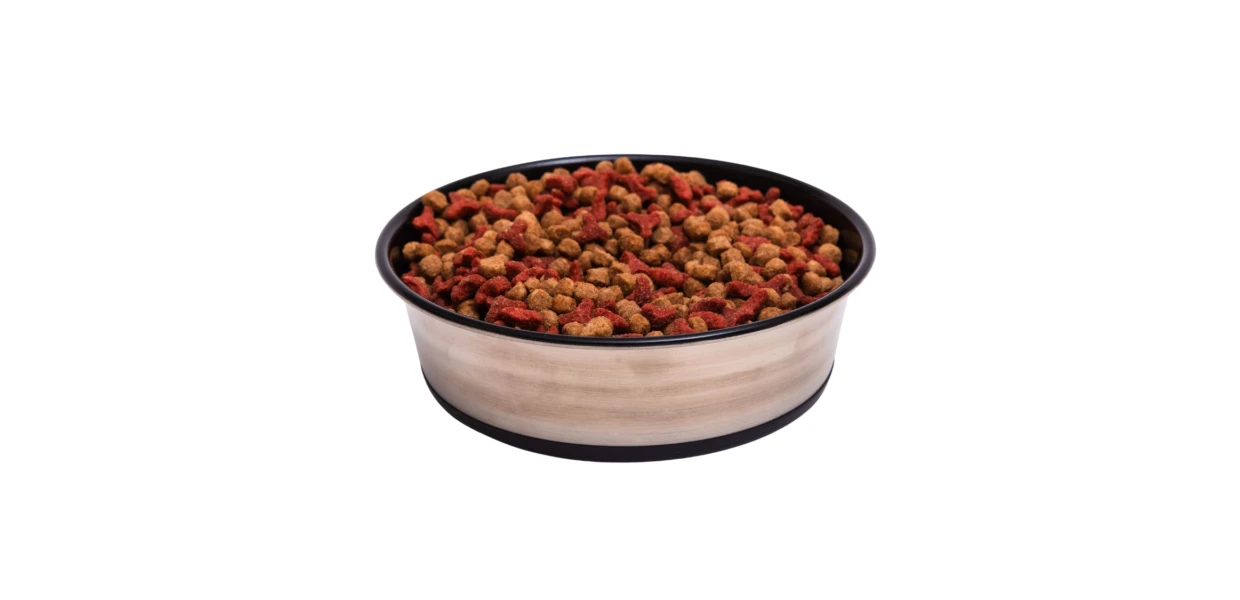 comedero-plato-decorativo-para-mascotas-alimento