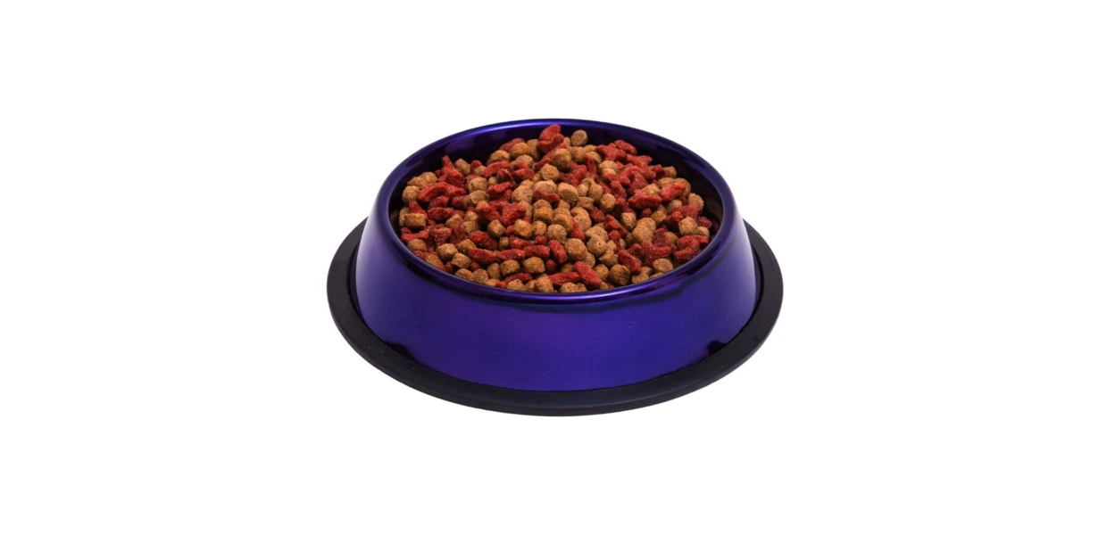 comedero-plato-para-mascotas-antideslizante-alimento