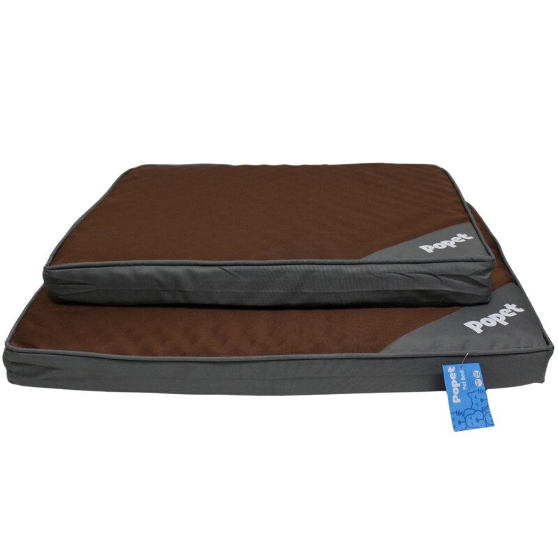 cama-ortopedica-oxford-cafe-pack