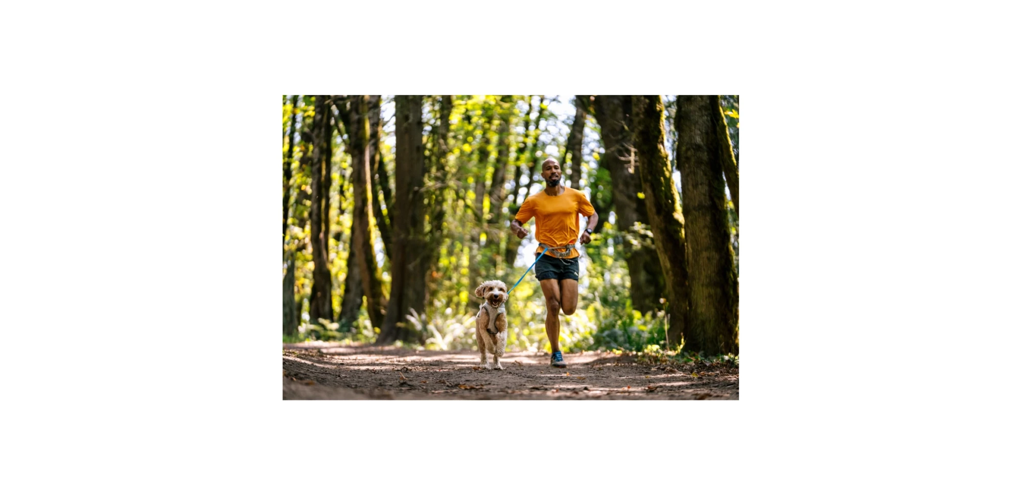 correa-para-correr-con-perros-lifestyle