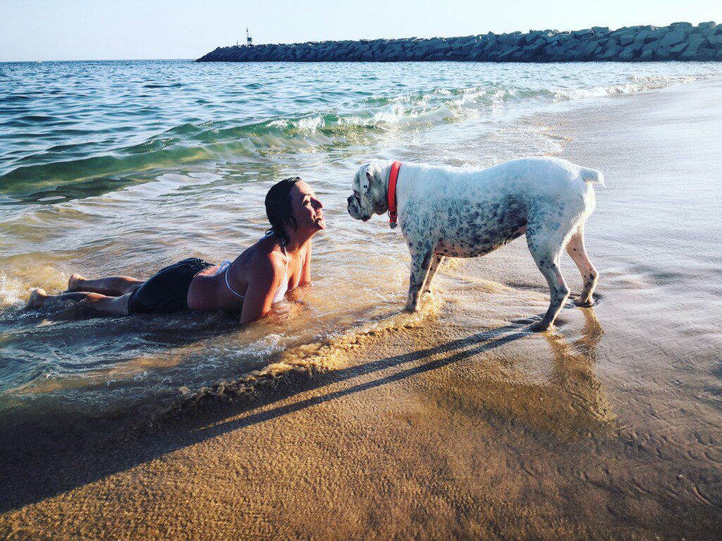 perros en la playa en costa rica