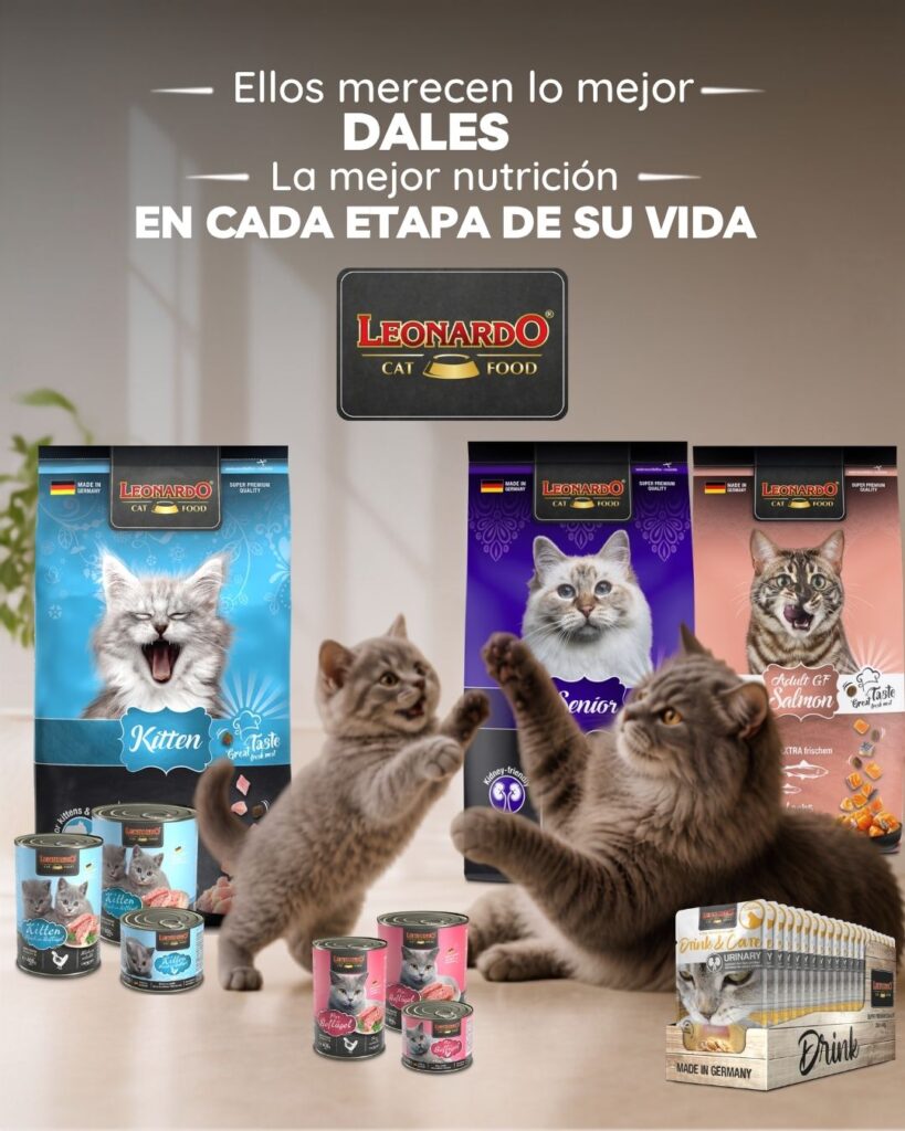 alimento-humedo-leonardo-latas-bolsitas-gatos